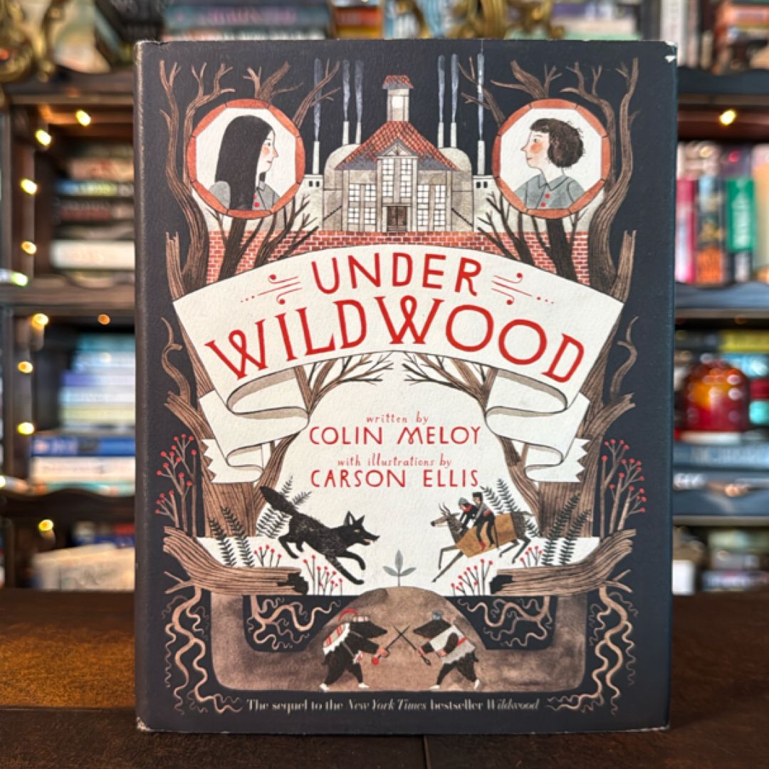 Under Wildwood