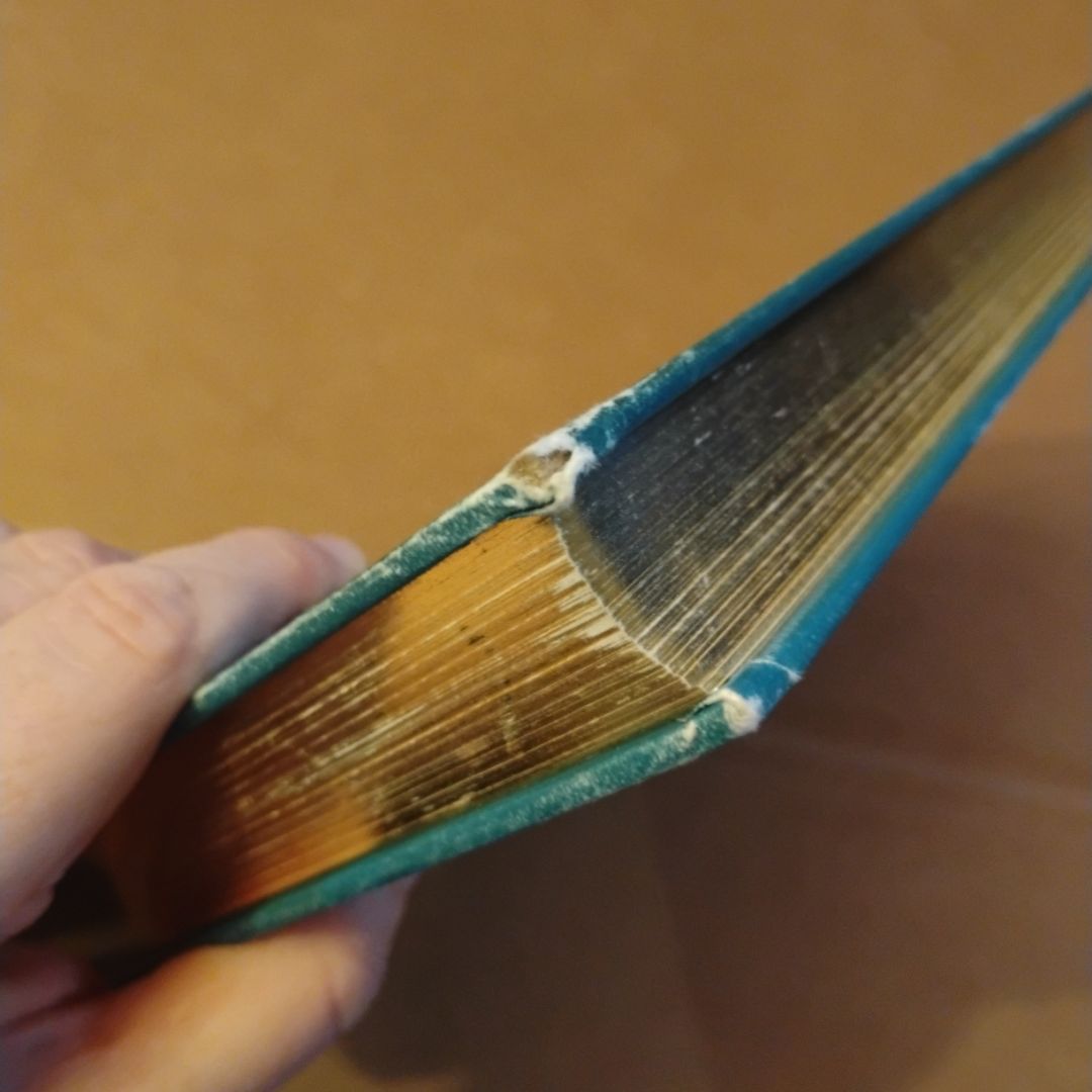 An Anthology of Intriguing Animals