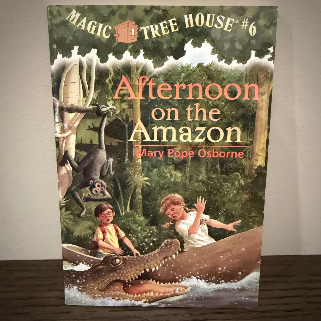 Afternoon on the Amazon