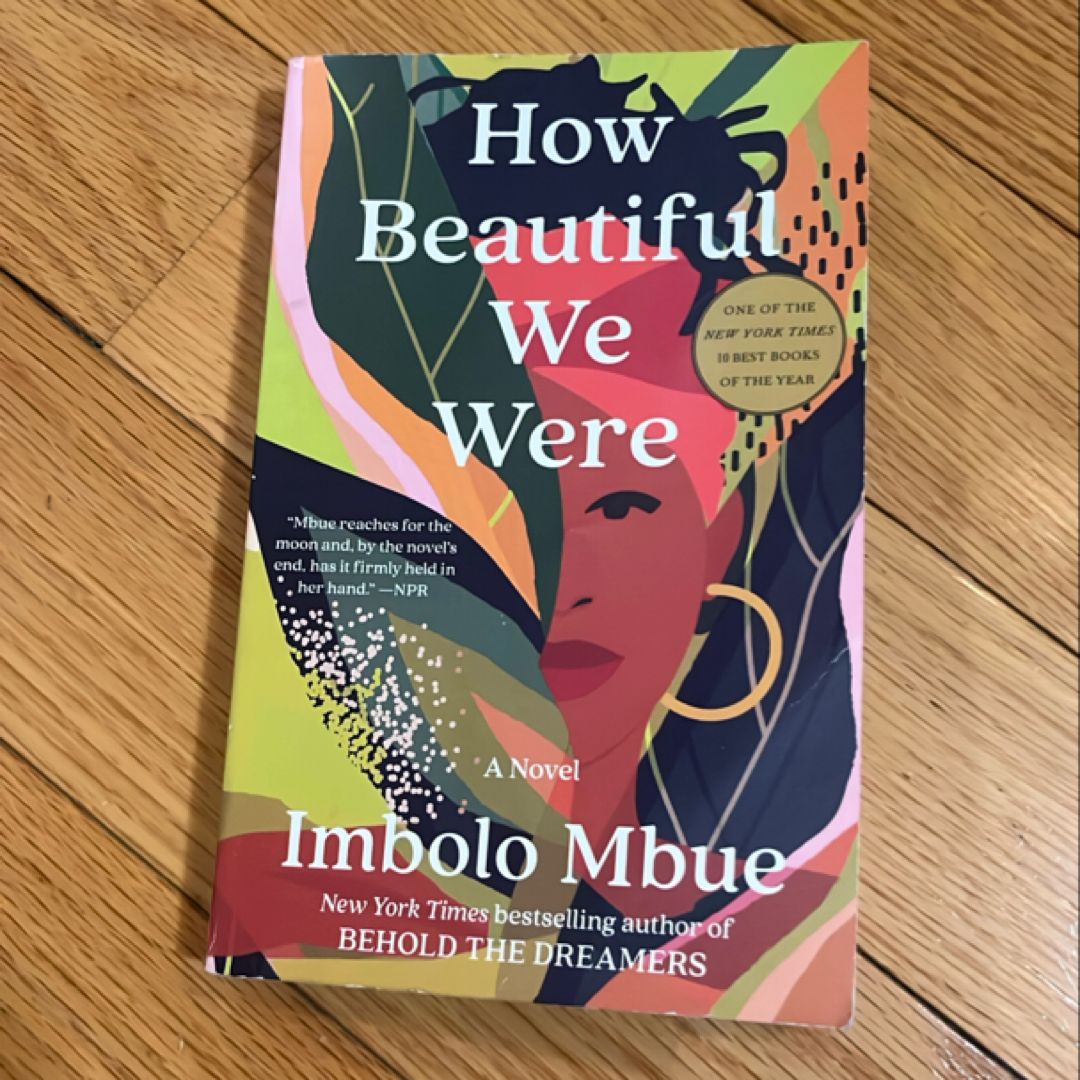 How Beautiful We Were