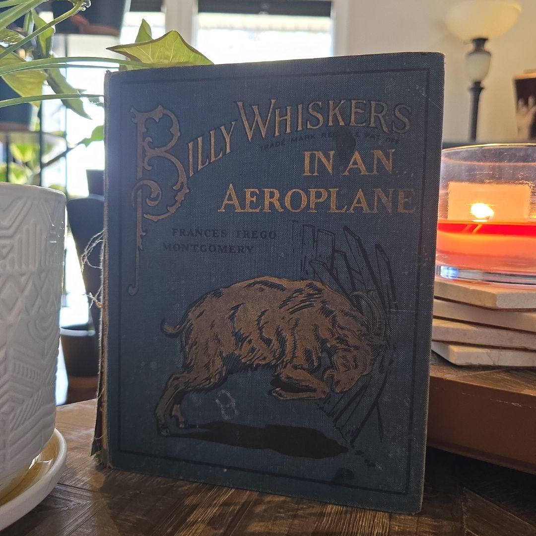 Billy Whiskers in an Aeroplane