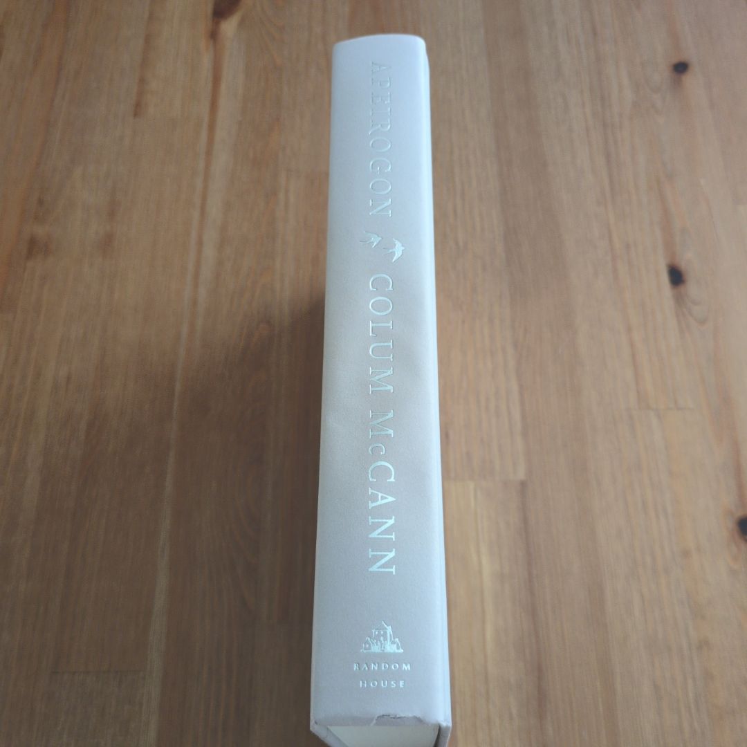 Apeirogon: a Novel