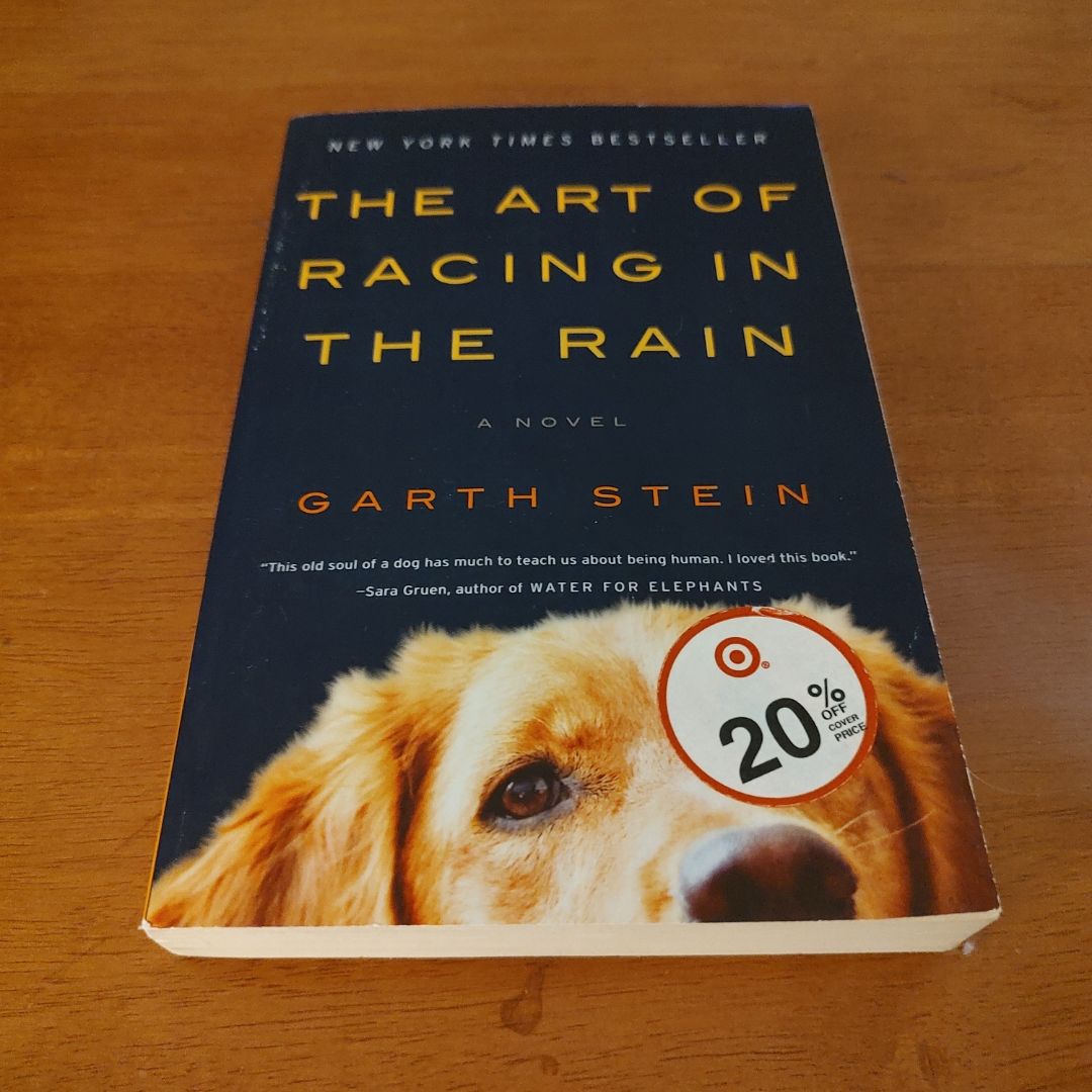 The Art of Racing in the Rain