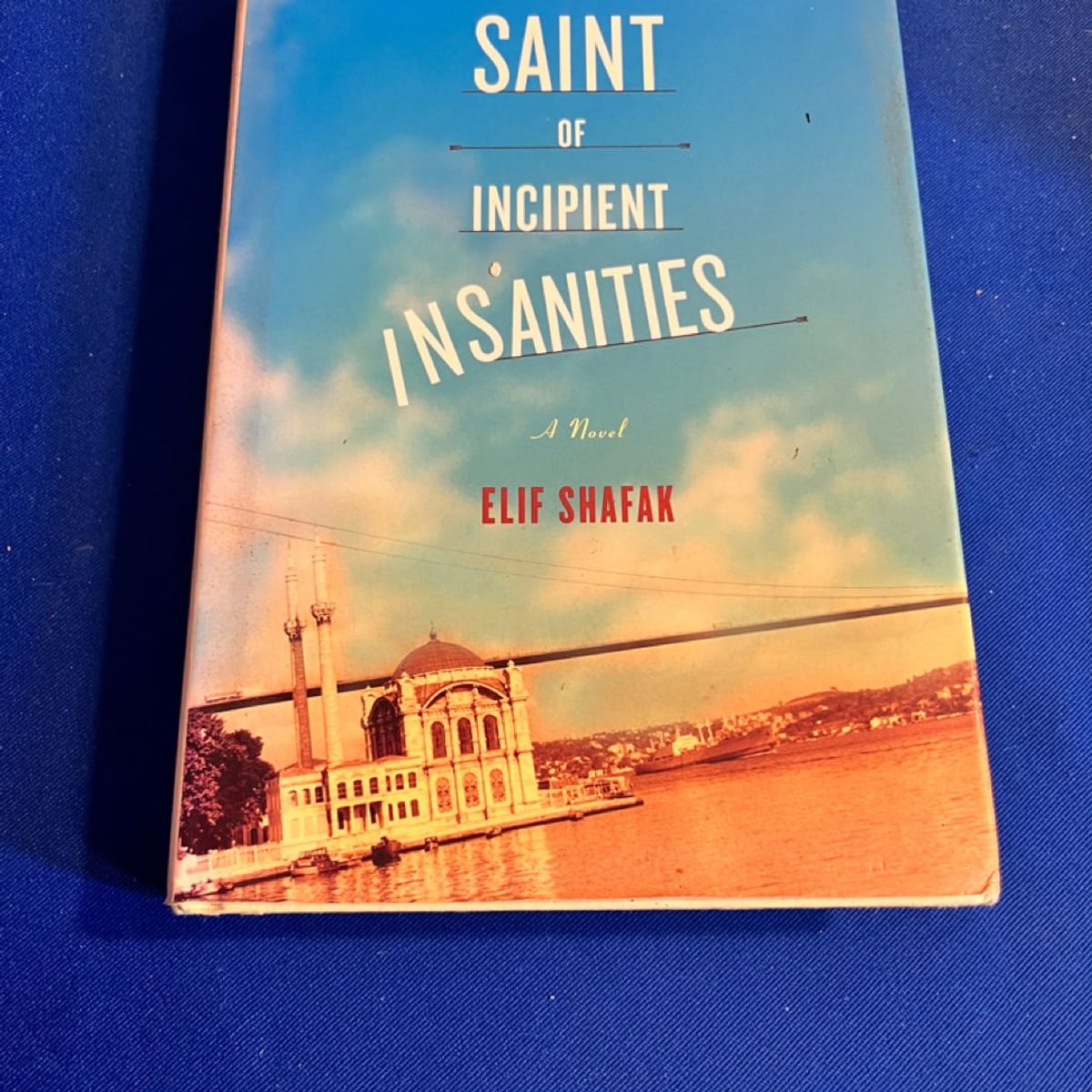The Saint of Incipient Insanities by Elif Shafak