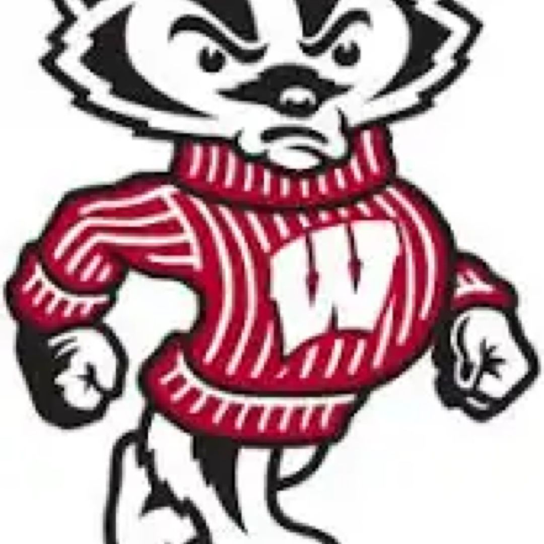 Badger Media