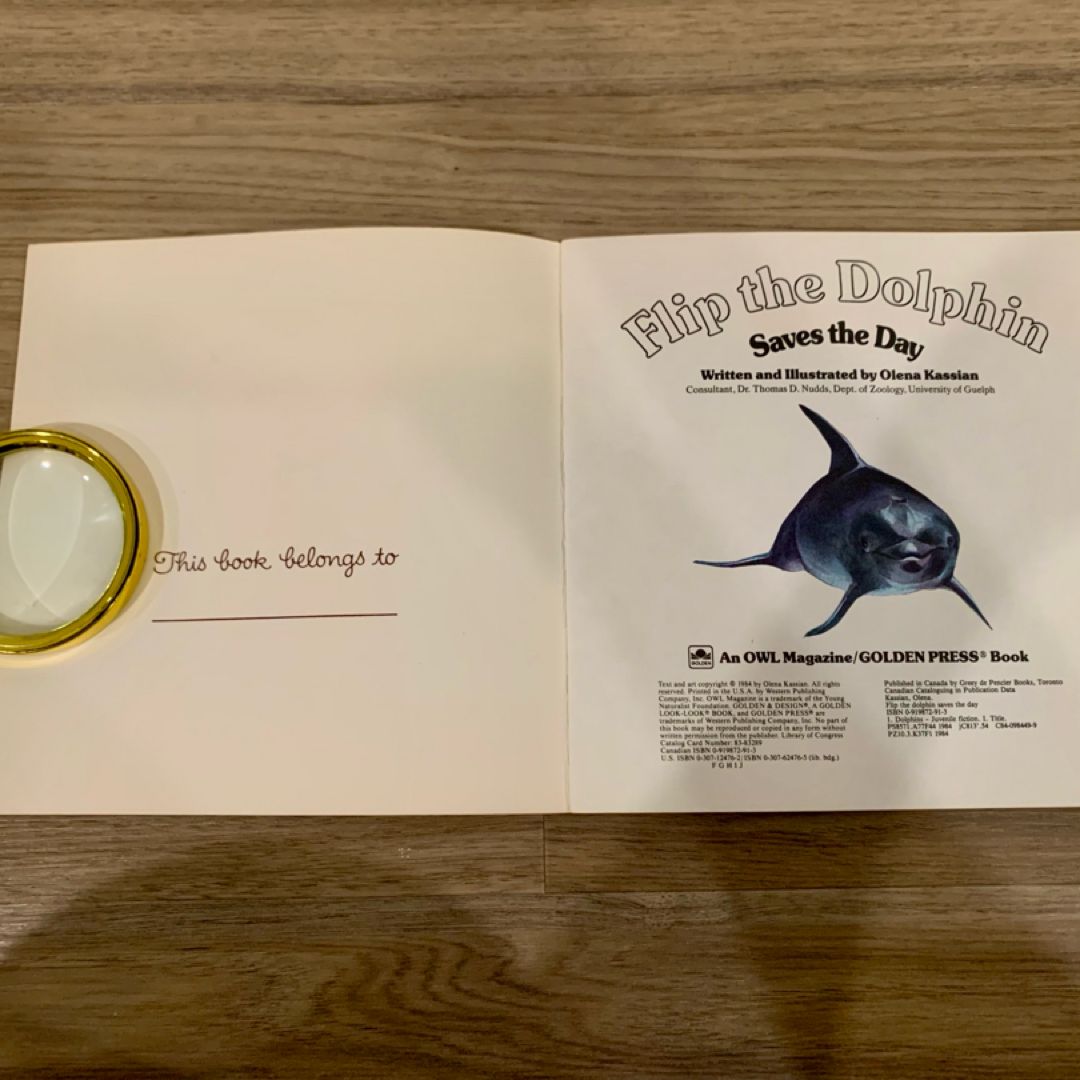 Flip the Dolphin Saves the Day