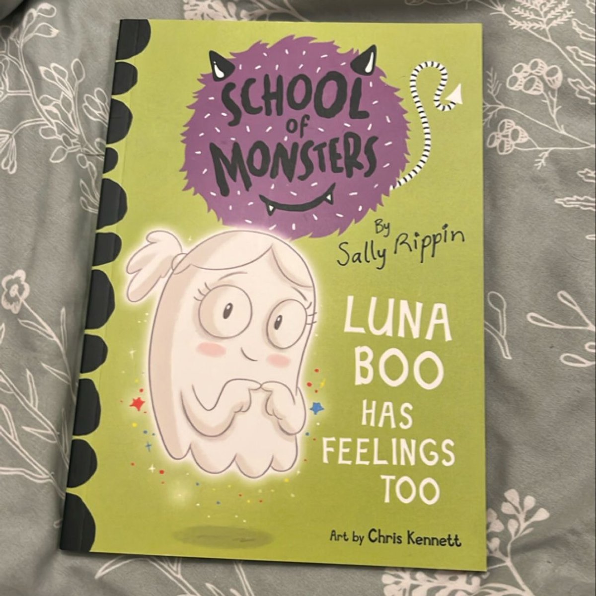 Luna Boo Has Feelings Too by Sally Rippin