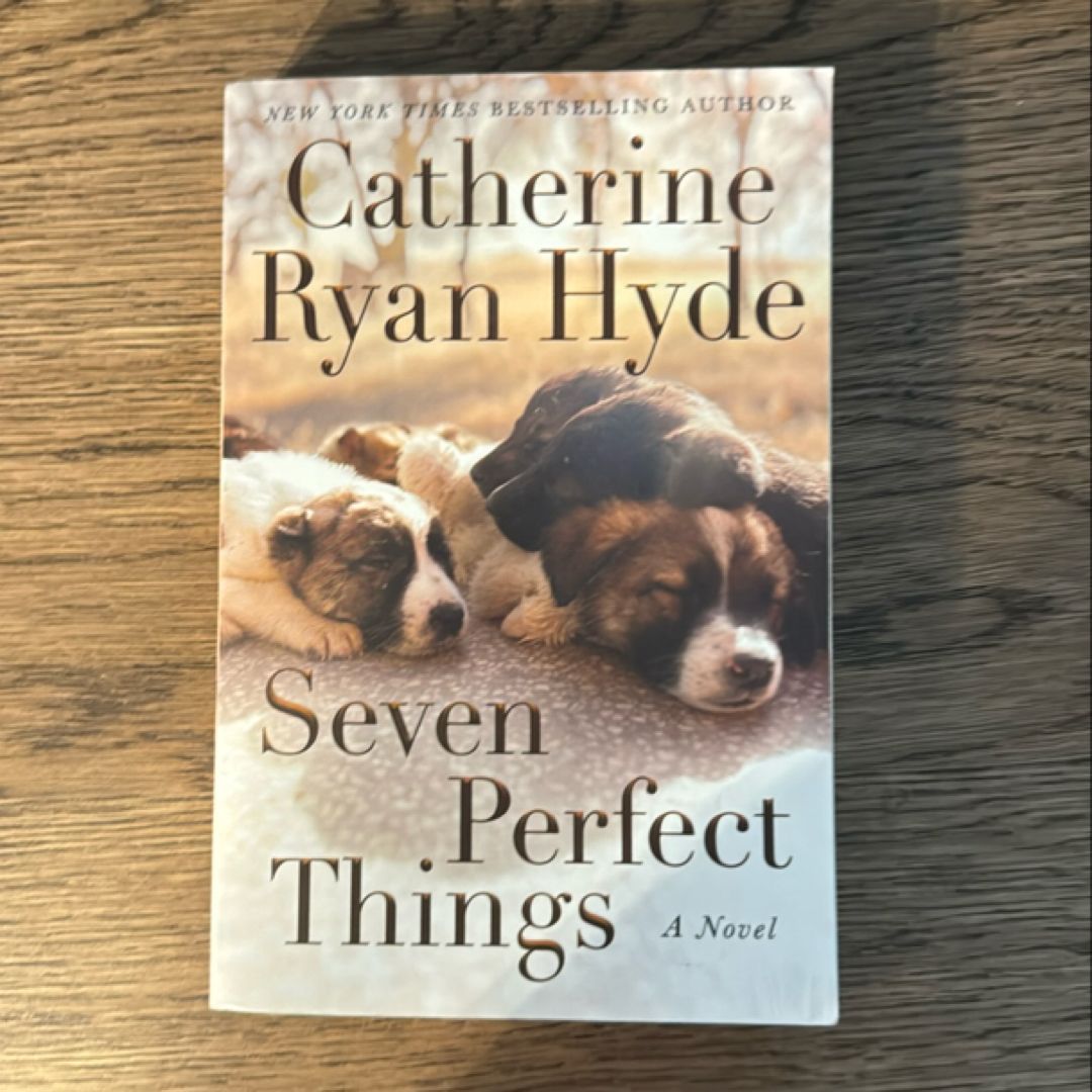 Seven Perfect Things