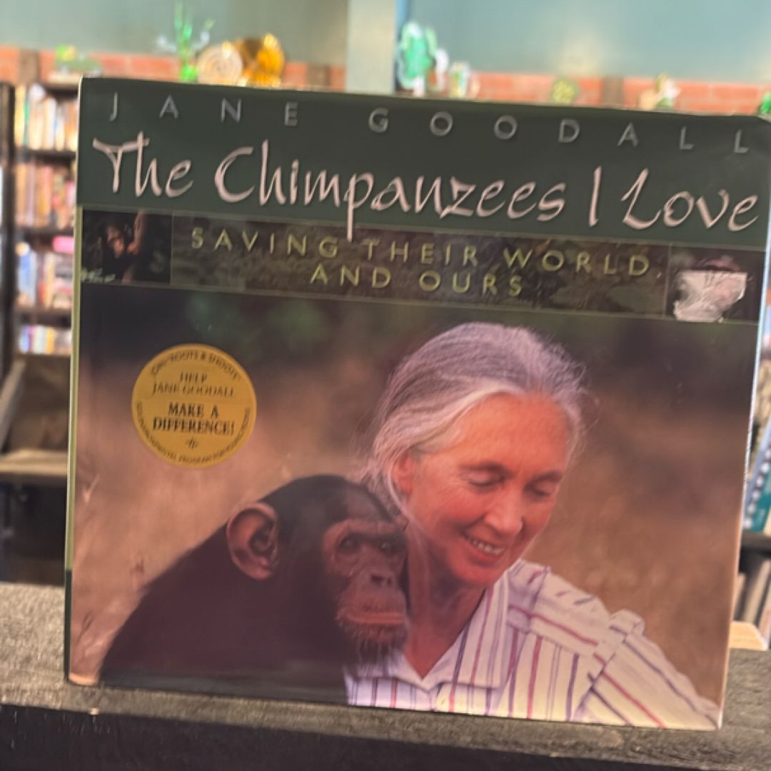 Chimpanzees I Love