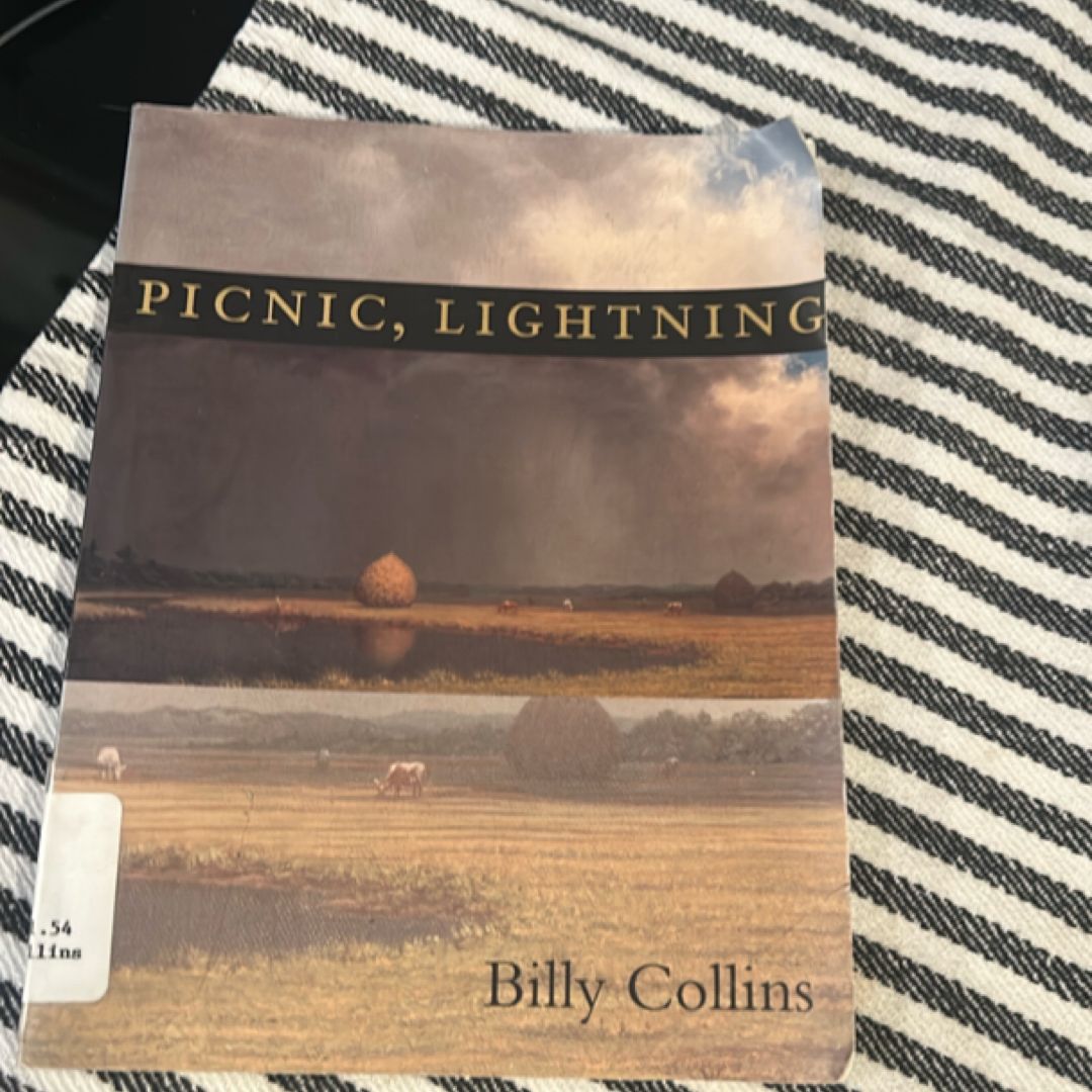 Picnic, Lightning