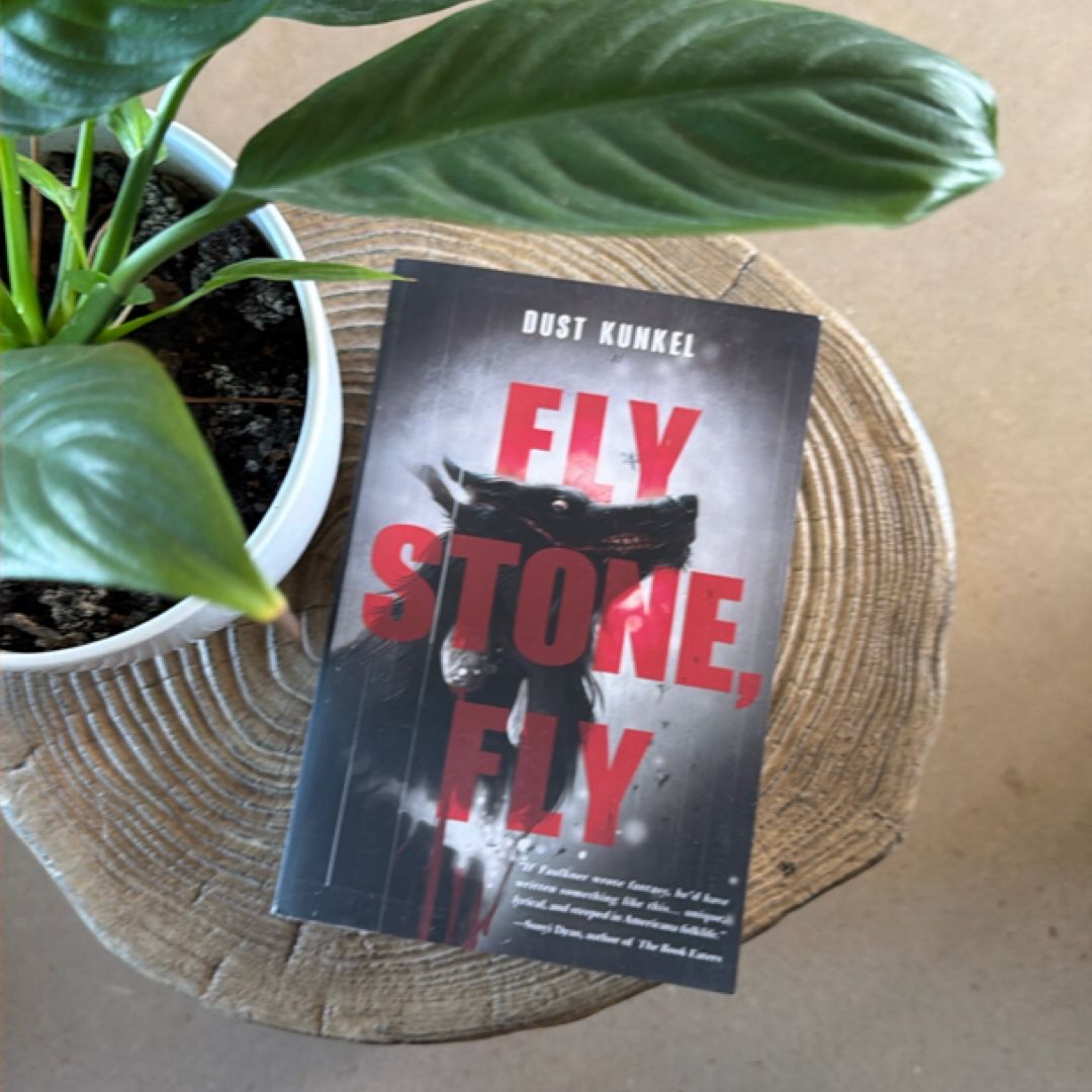 Fly Stone, Fly