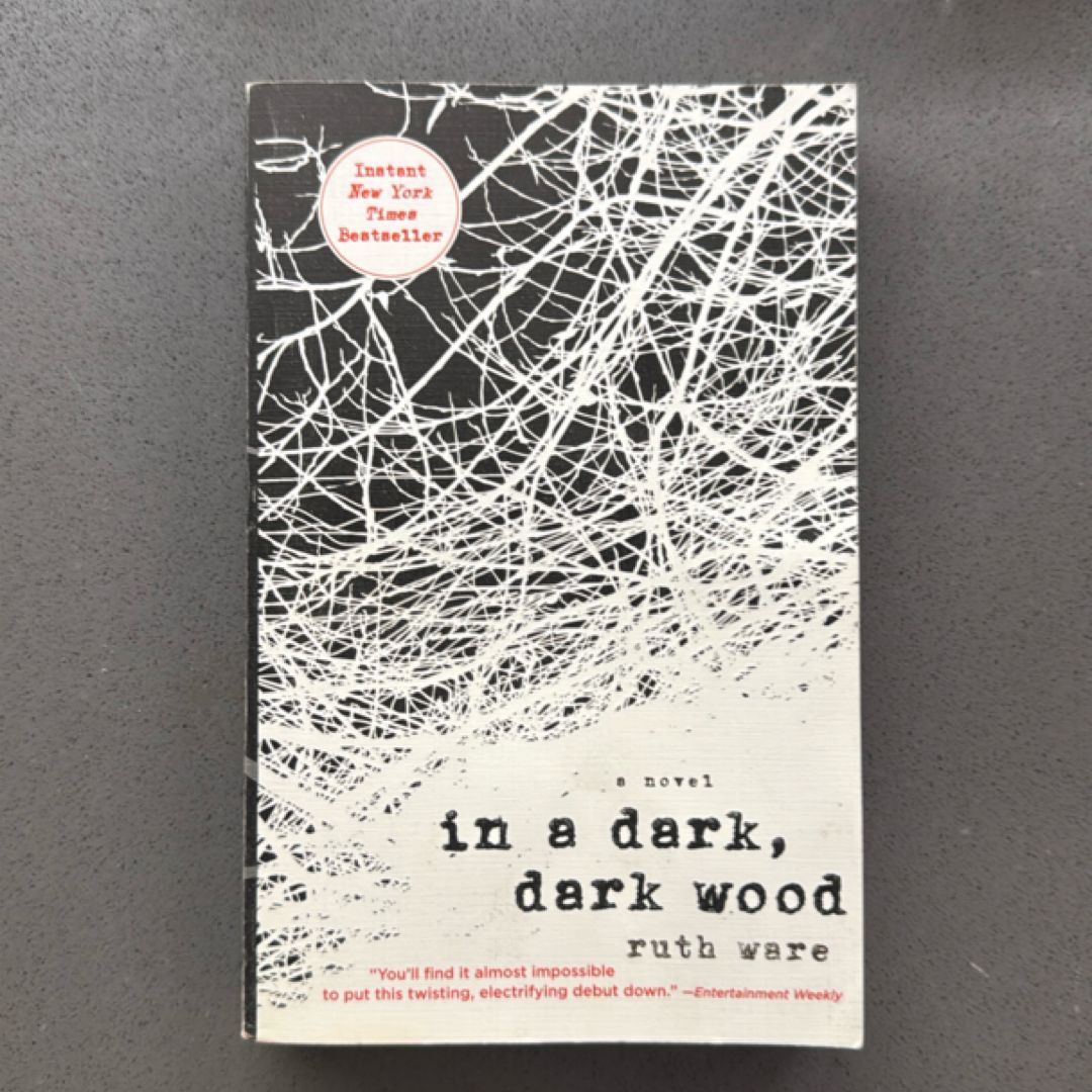 In a Dark, Dark Wood