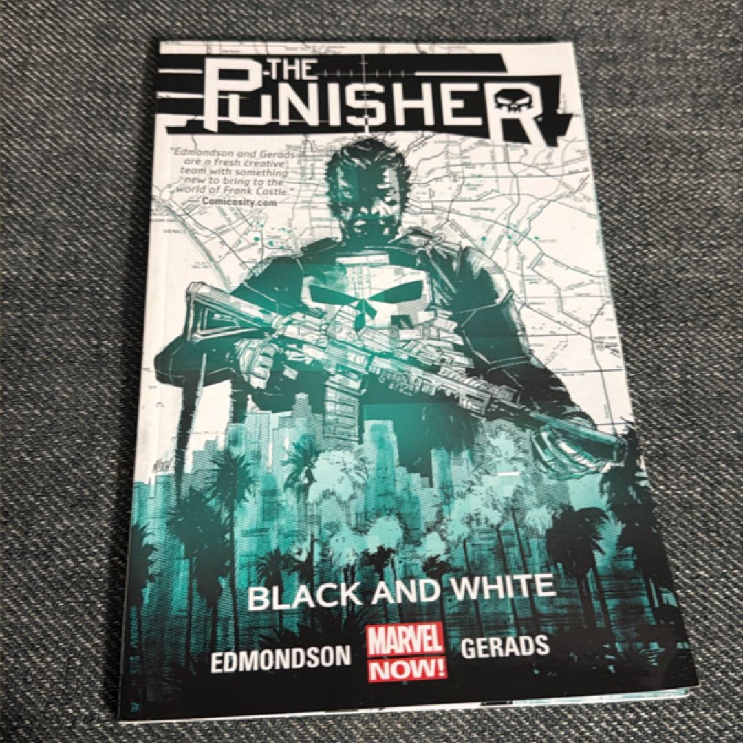 The Punisher Volume 1