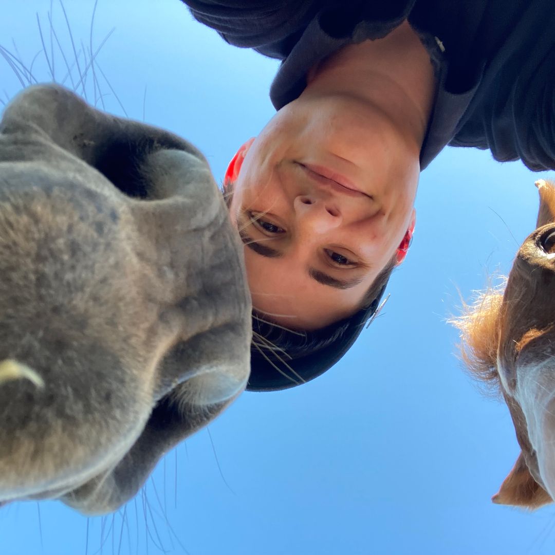 bramblebox books 🌲