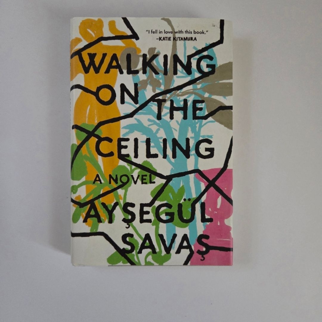 Walking on the Ceiling