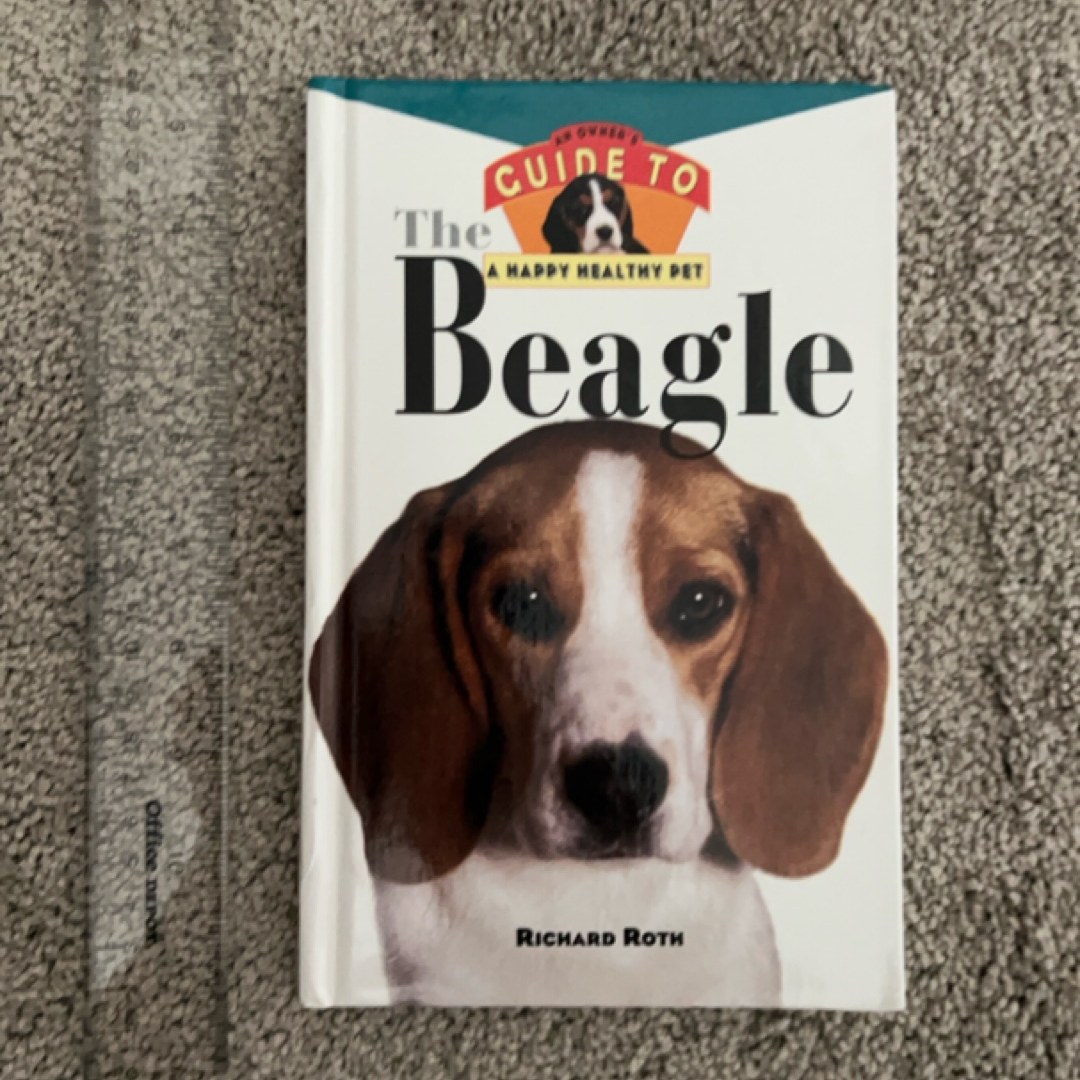 Beagle