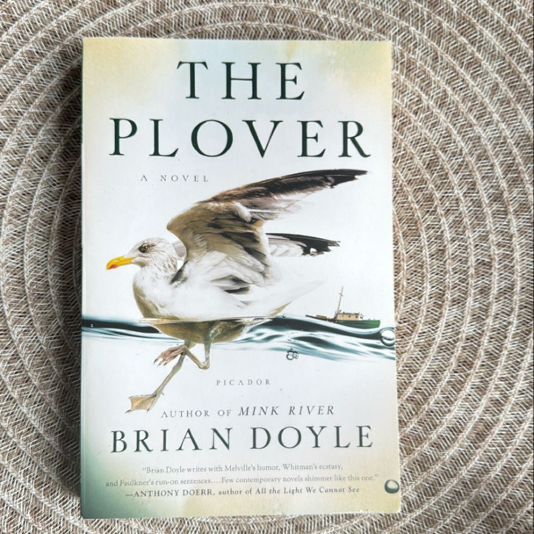 The Plover