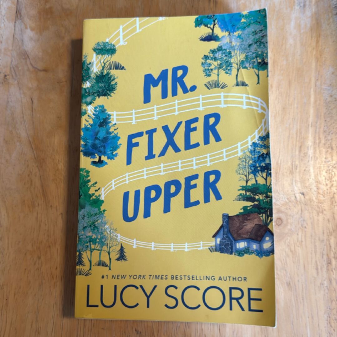 Mr. Fixer Upper