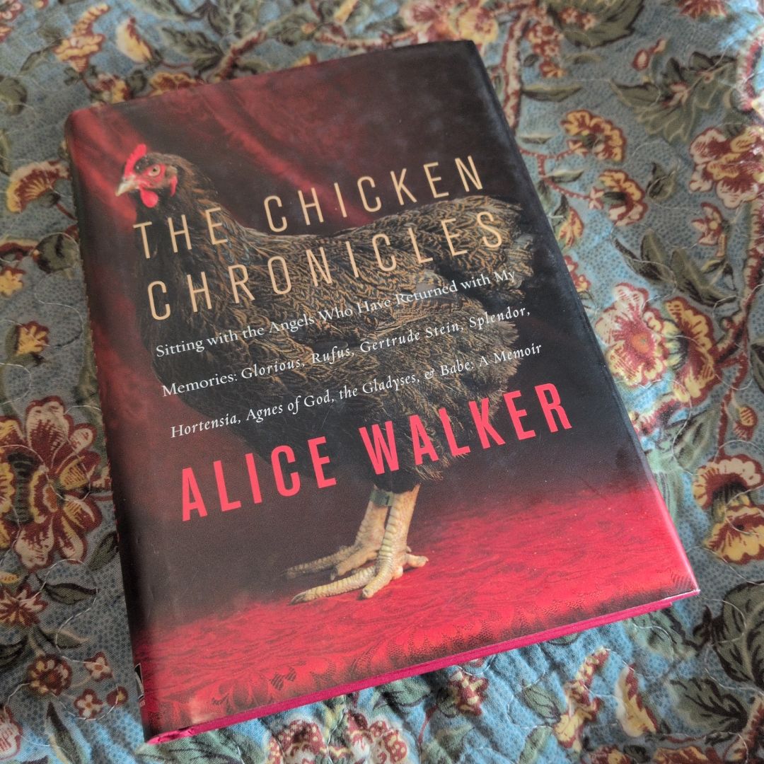 The Chicken Chronicles