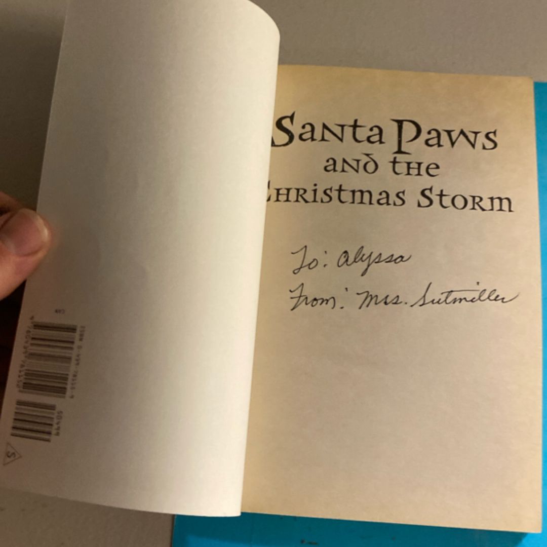 Santa Paws and the Christmas Storm
