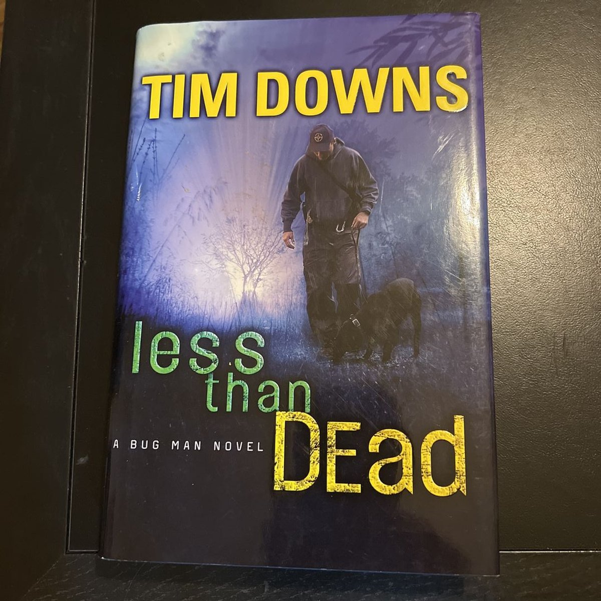 Less Than Dead by Tim Downs