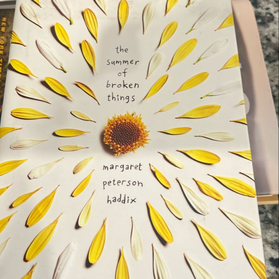 The Summer of Broken Things