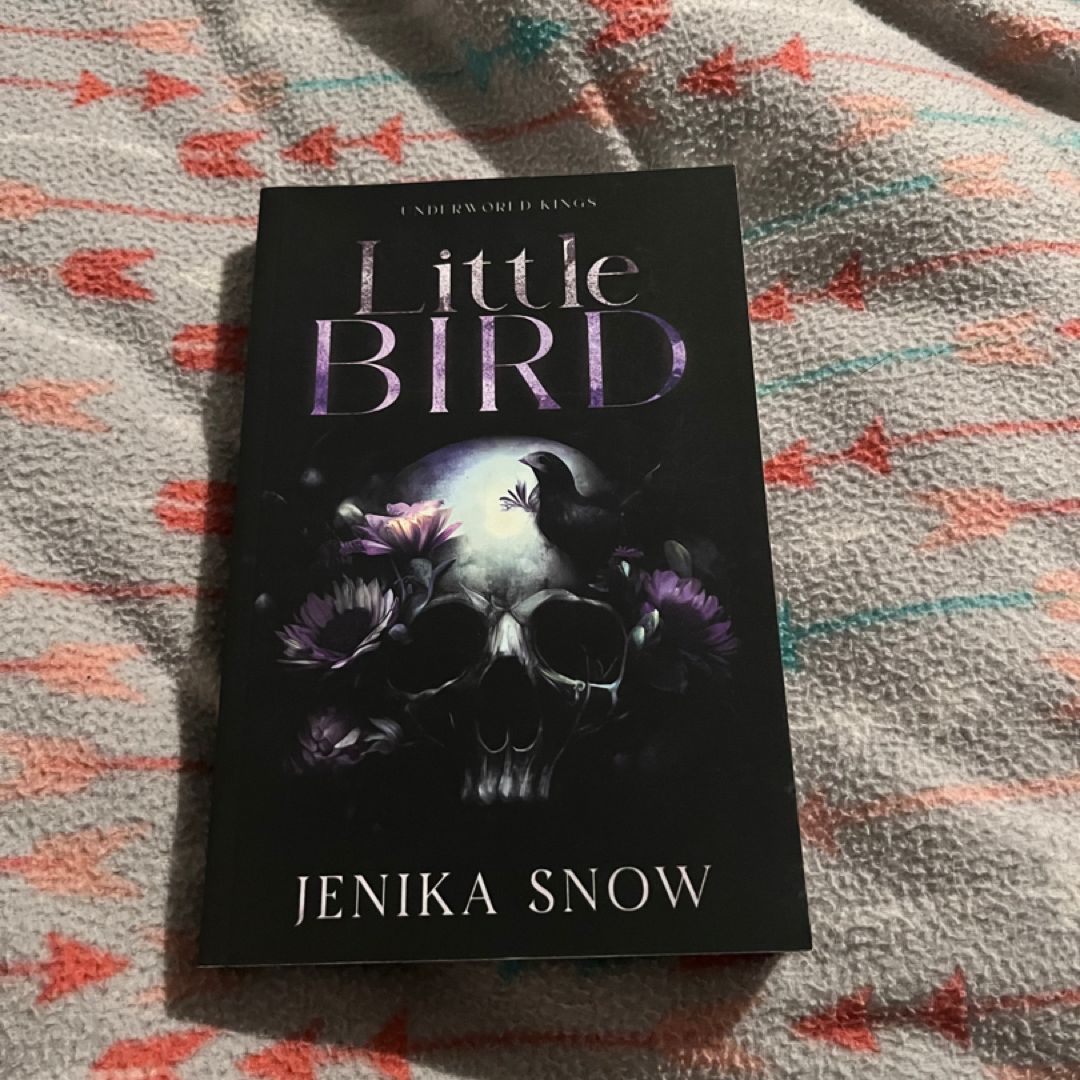 Little Bird Dark and Disturbed