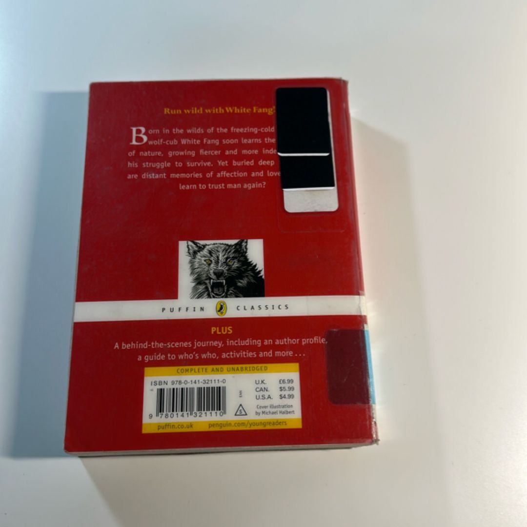 Madame Bovary