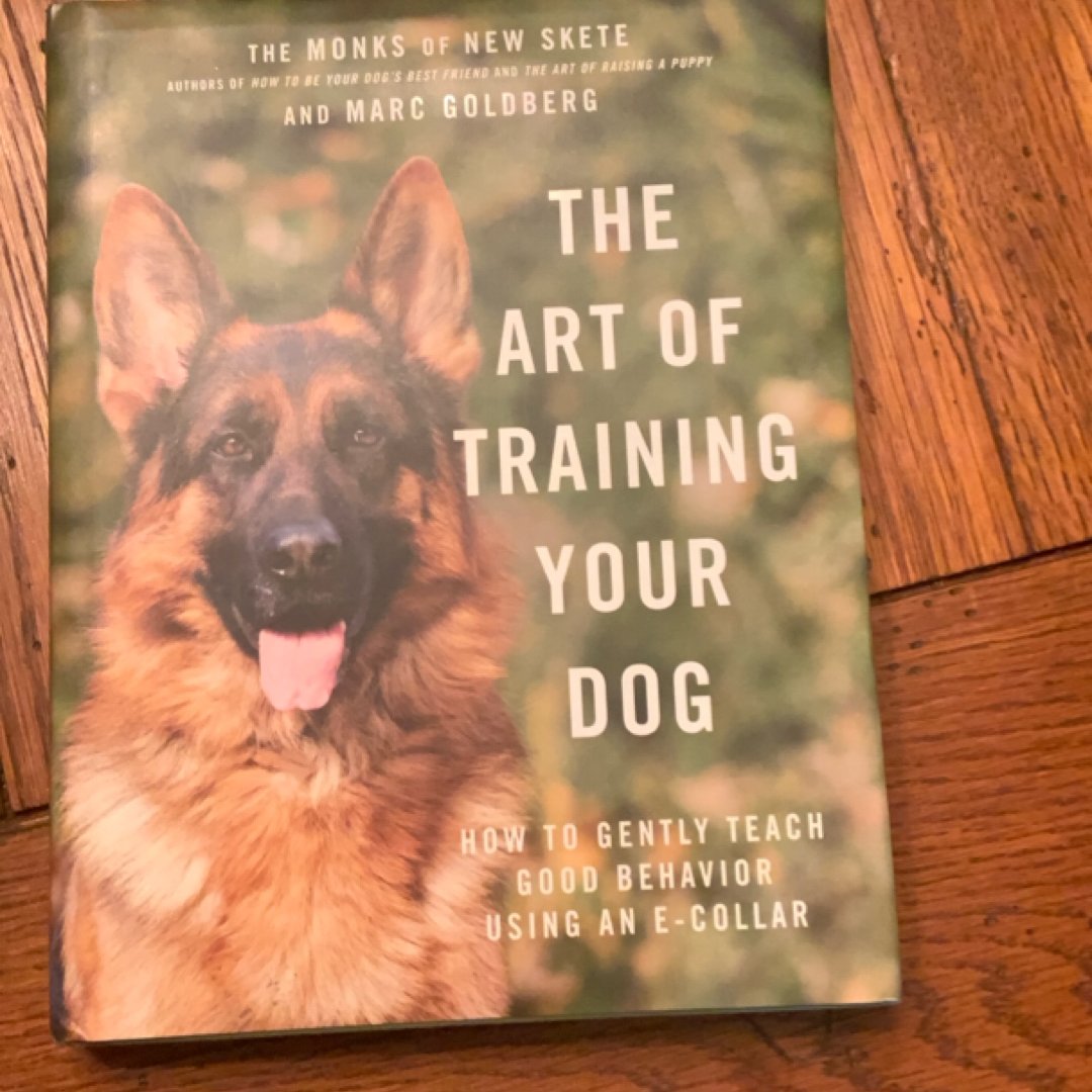 The Art of Training Your Dog