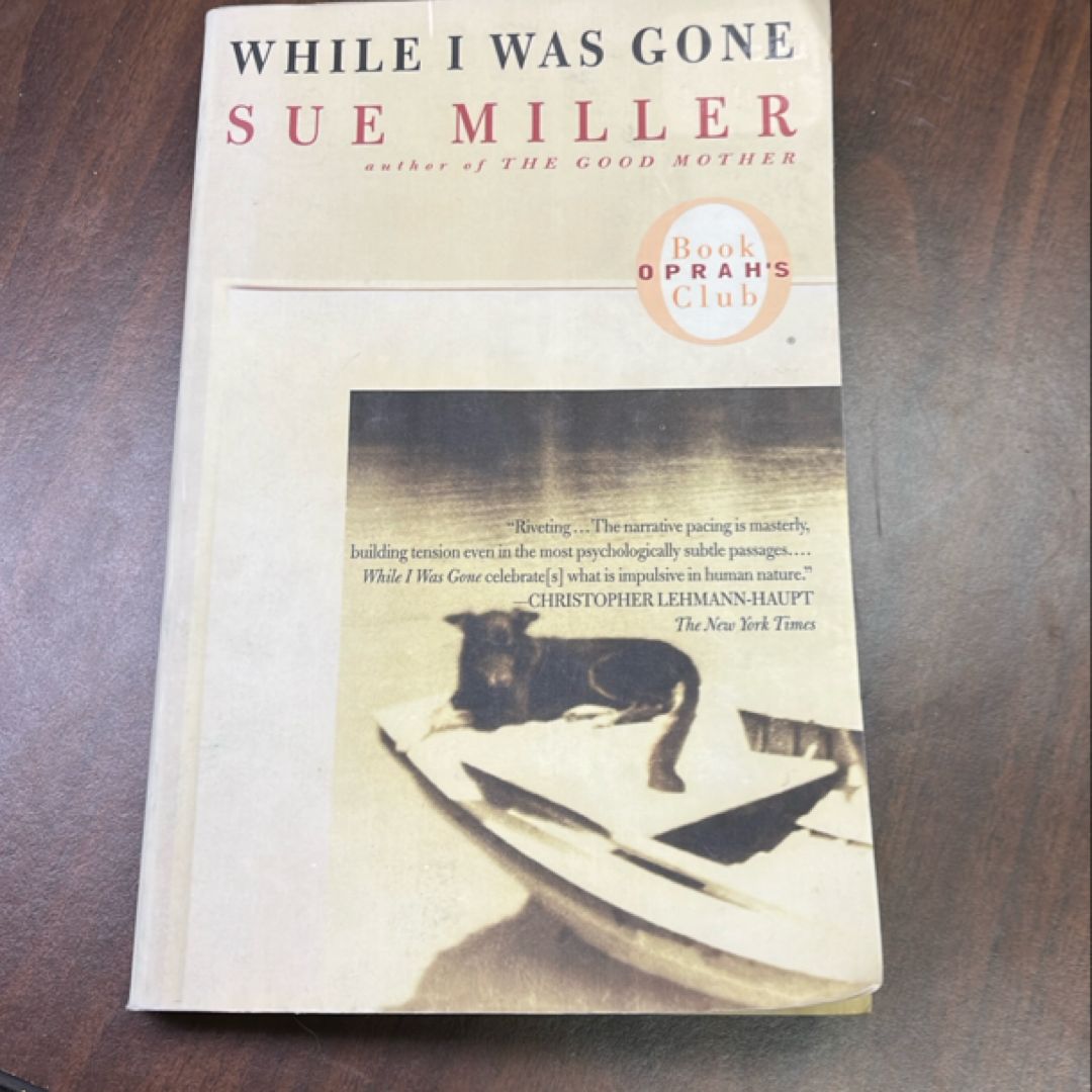 While I Was Gone