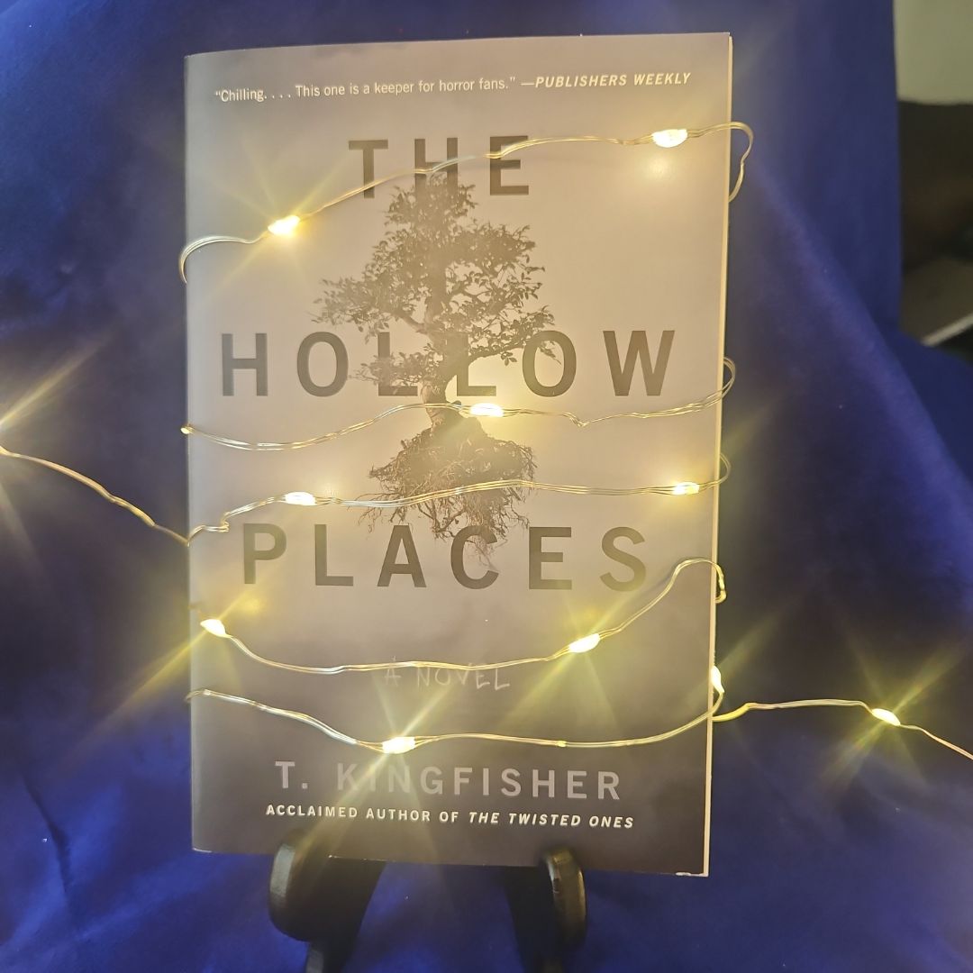 The Hollow Places