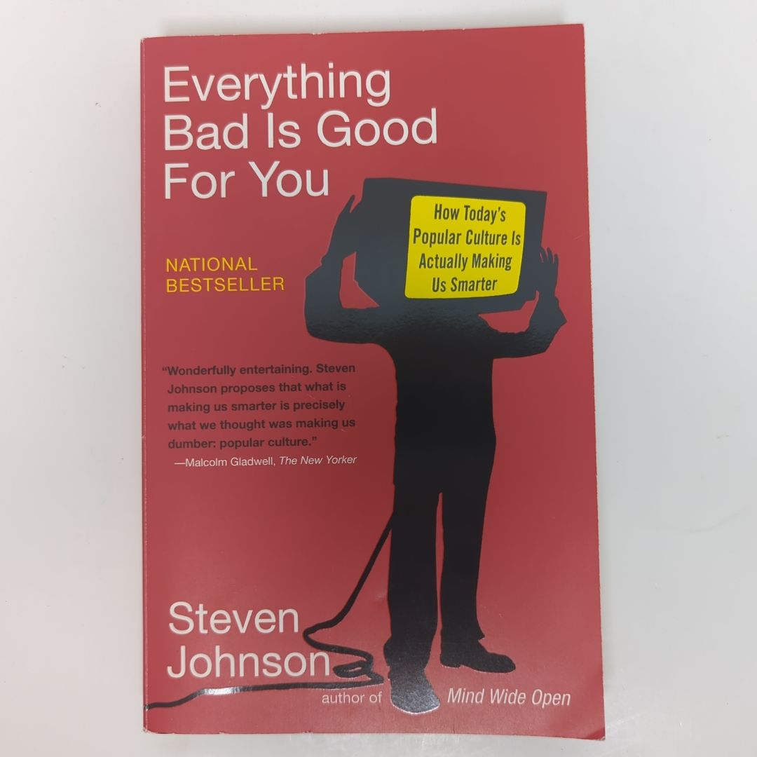 Everything Bad Is Good for You by Steven Johnson