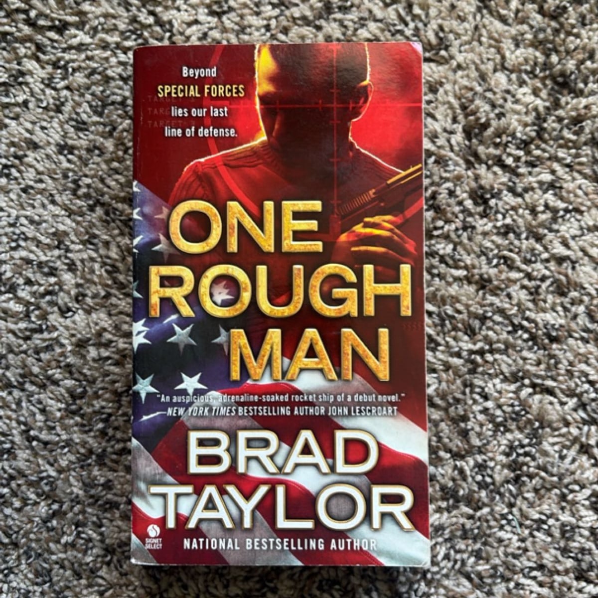 One Rough Man by Brad Taylor