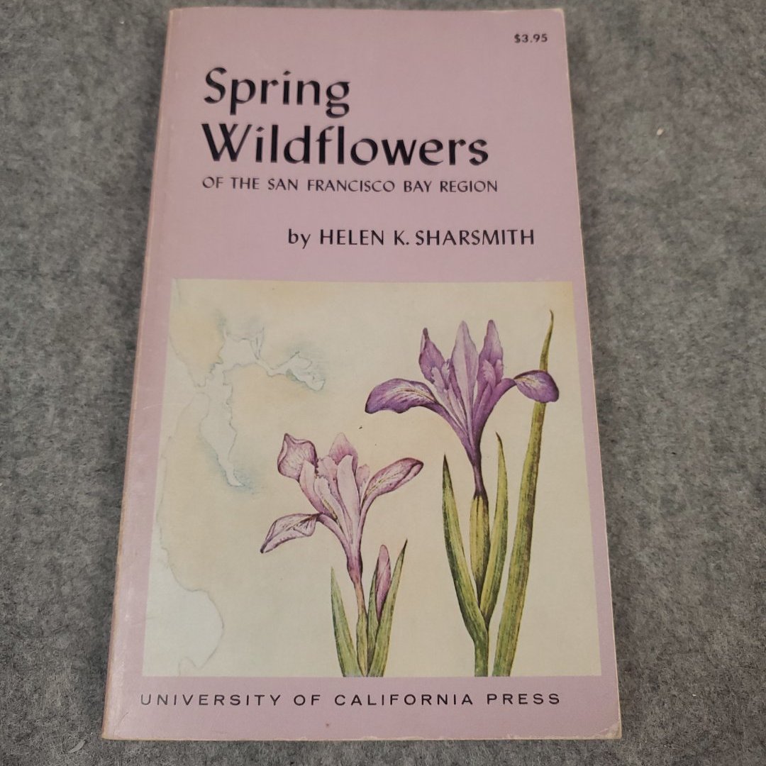Spring Wildflowers