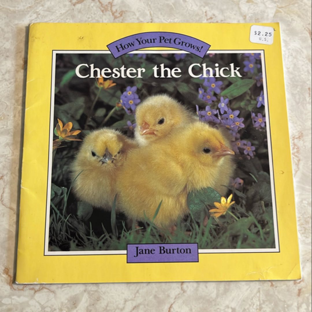 Chester the Chick