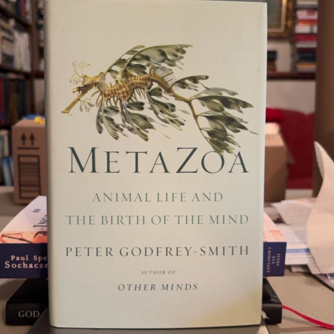 Metazoa