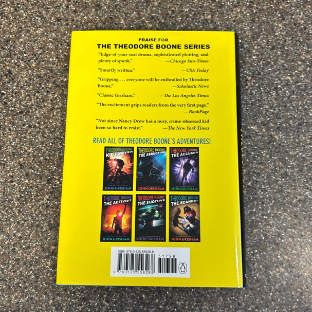 Theodore Boone: the Accomplice