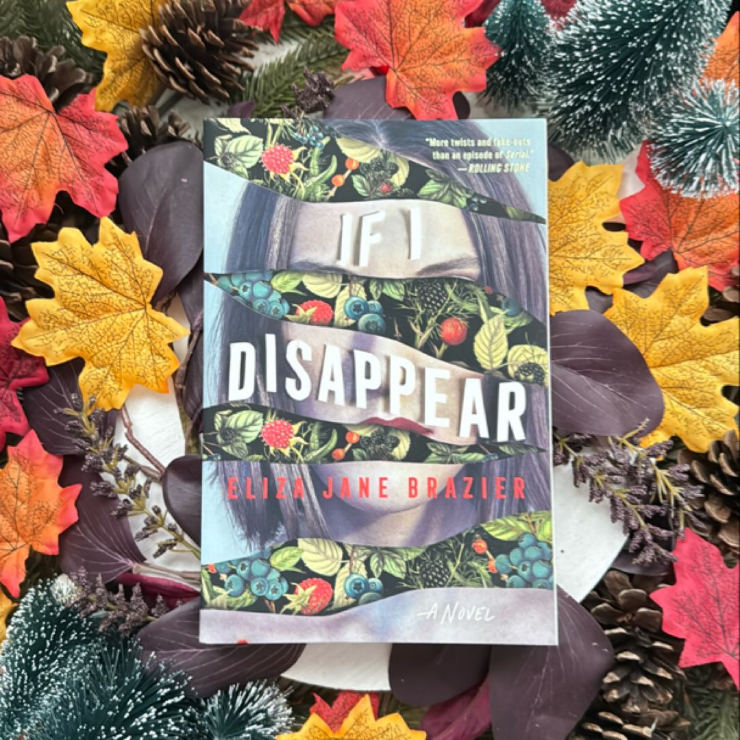 If I Disappear