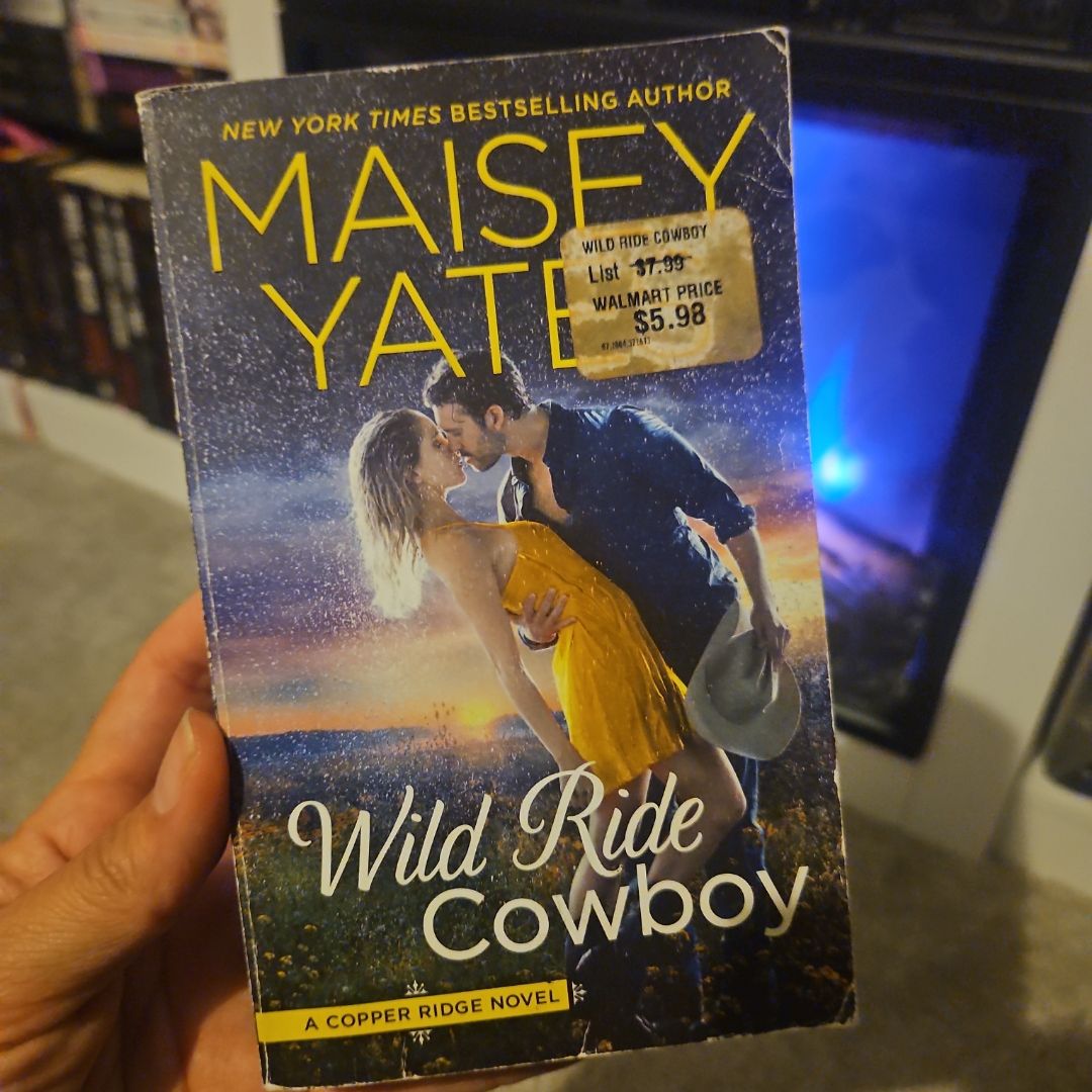 Wild Ride Cowboy