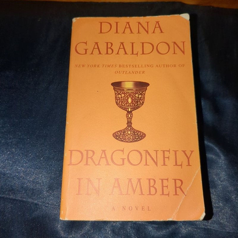 Dragonfly in Amber