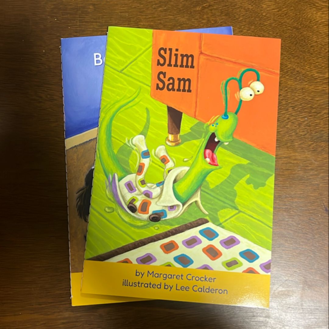 Hooked on Phonics Bundle