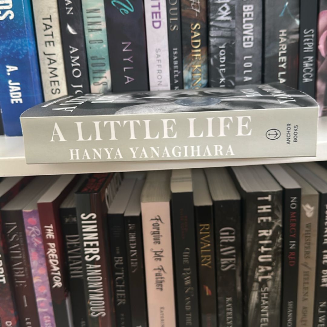 A Little Life