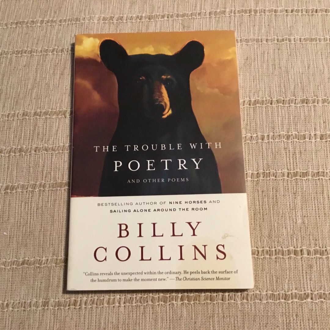 The Trouble with Poetry