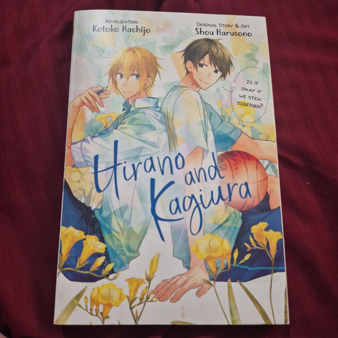 Hirano and Kagiura (novel)