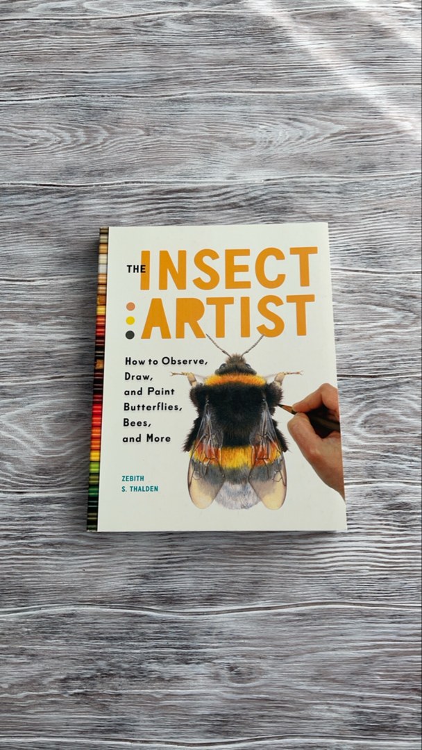 The Insect Artist