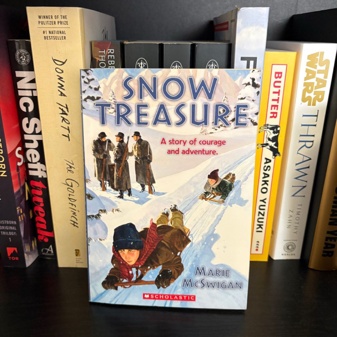 Snow Treasure