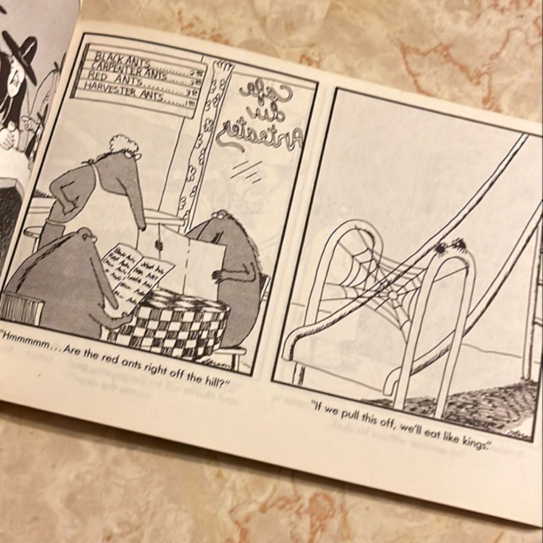 In Search of the Far Side