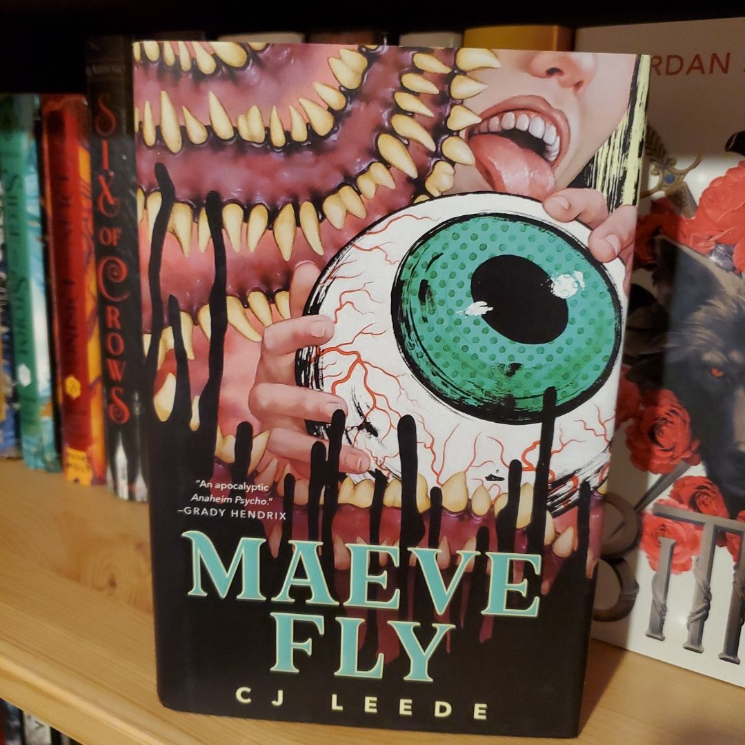 Maeve Fly