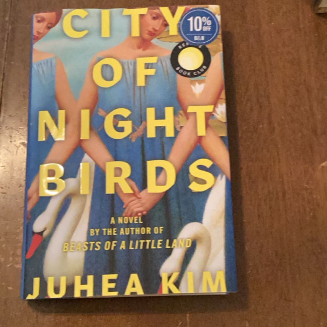 City of Night Birds