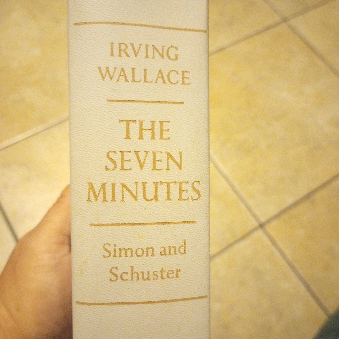 The Seven Minutes 